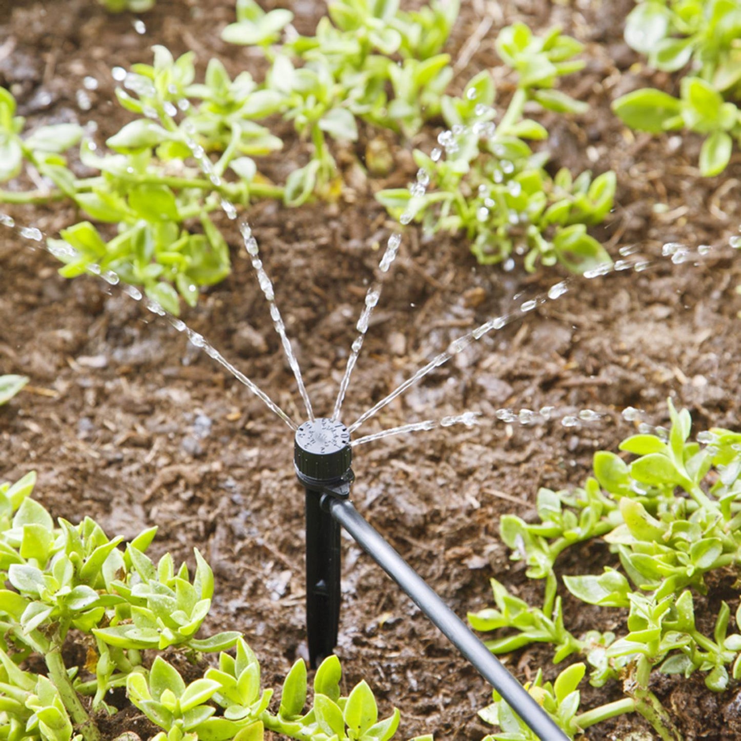 Raindrip Half-Circle Drip Irrigation Bubbler, 20 GPH, Adjustable Flow, 1/4 in. Inlet