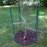 Everbilt 3 in. x 3 in. x 6 ft. Green Steel Fence Heavy Duty U-Post with Anchor Plate