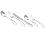 Oriana 20-Piece Stainless Steel Flatware Set (Service for 4)