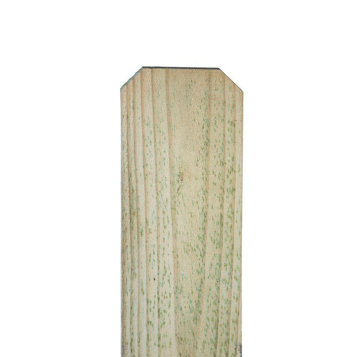 1 in. x 6 in. x 8 ft. Pressure-Treated Pine Dog-Ear Fence Picket - Super Arbor
