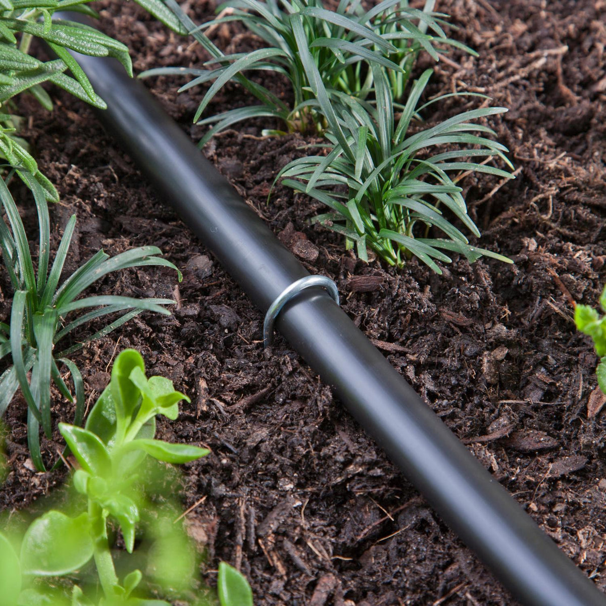 Raindrip 8 in. Steel Tubing Stake for 1-1/4 in. Drip Irrigation Tubing, 25-Pack