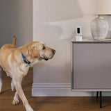 Ring Pan-Tilt Indoor Cam Plug-in Security Camera with 360° Horizontal Pan Coverage, Live View and Two-Way Talk, Charcoal