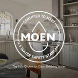 Moen Genta Single Hole Single-Handle Bathroom Faucet in Chrome with Drain Kit (2-Pack)