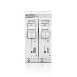 Leviton Surge Protective Device with Two 20 Amp 1-Pole Standard Thermal Magnetic Branch Circuit Breakers