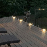 ClearView GLASS RAILINGS 24 in. x 39 in. CVGR Hercules Glass Panel with 2 Spigots per Panel