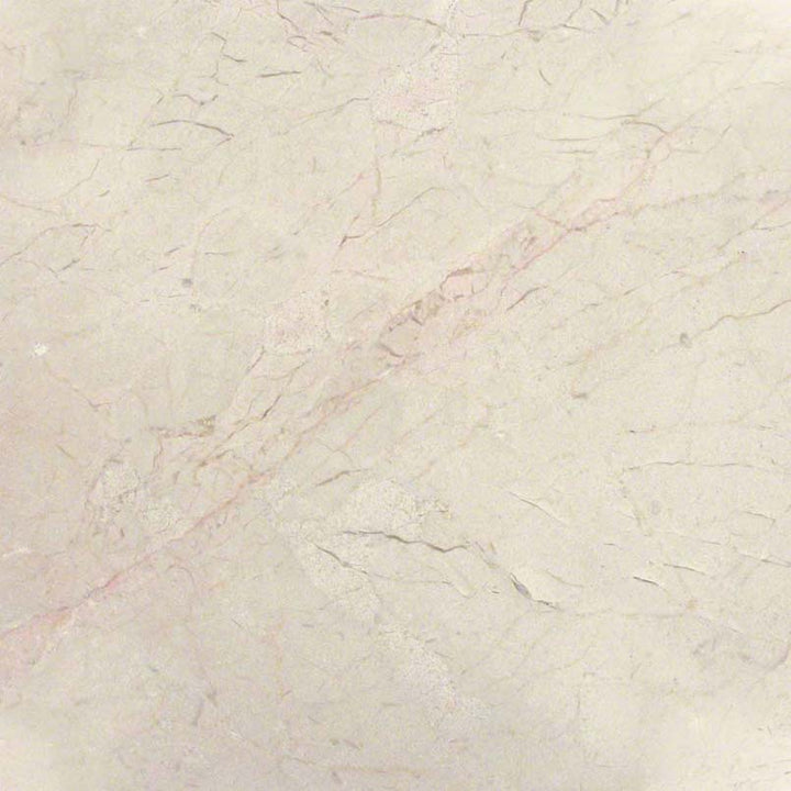 MS International Crema Marfil 18 x 18 Marble Floor and Wall Tile
