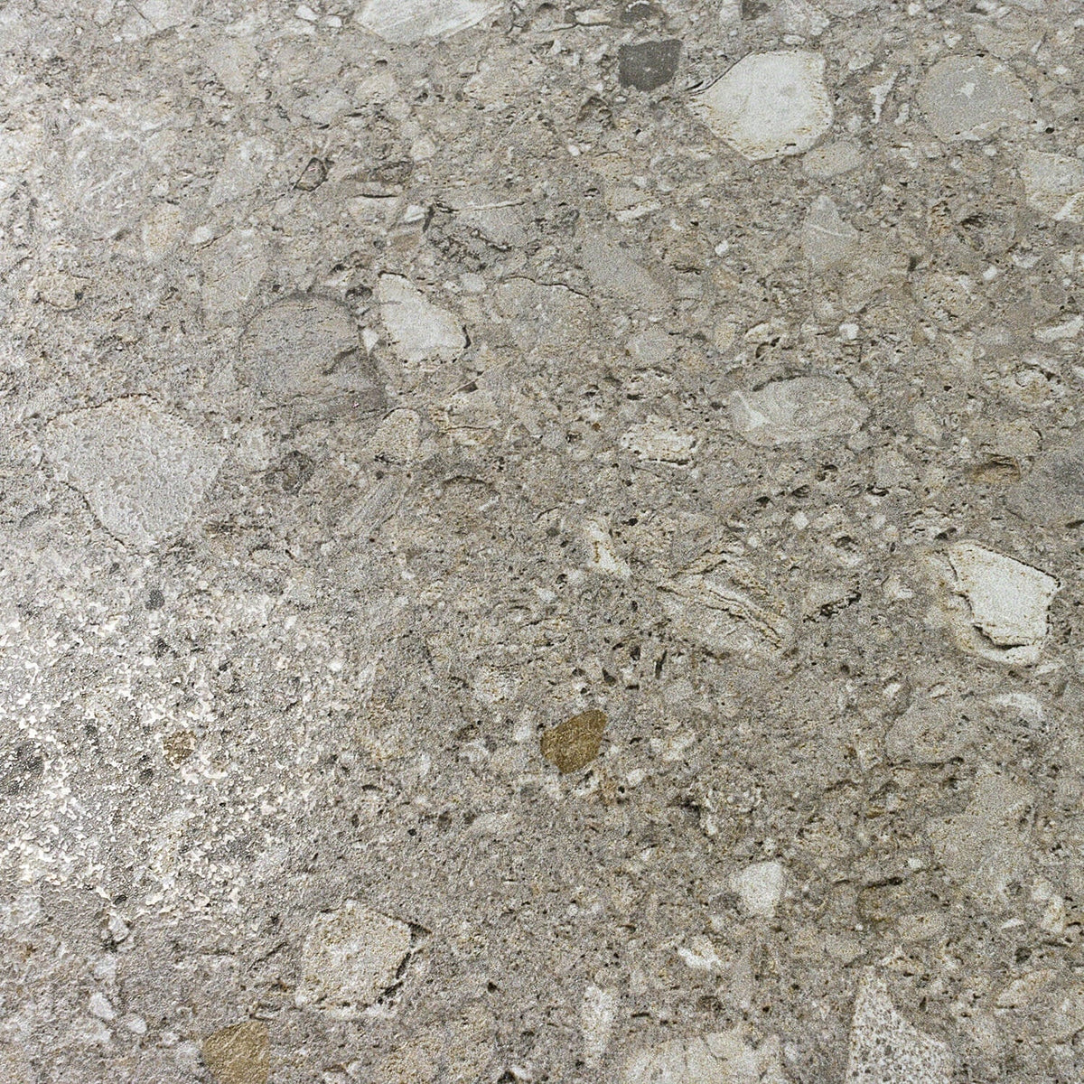 Rizo Tortora Gray 24x24 Terrazzo Look Semi-Polished Porcelain Tile
