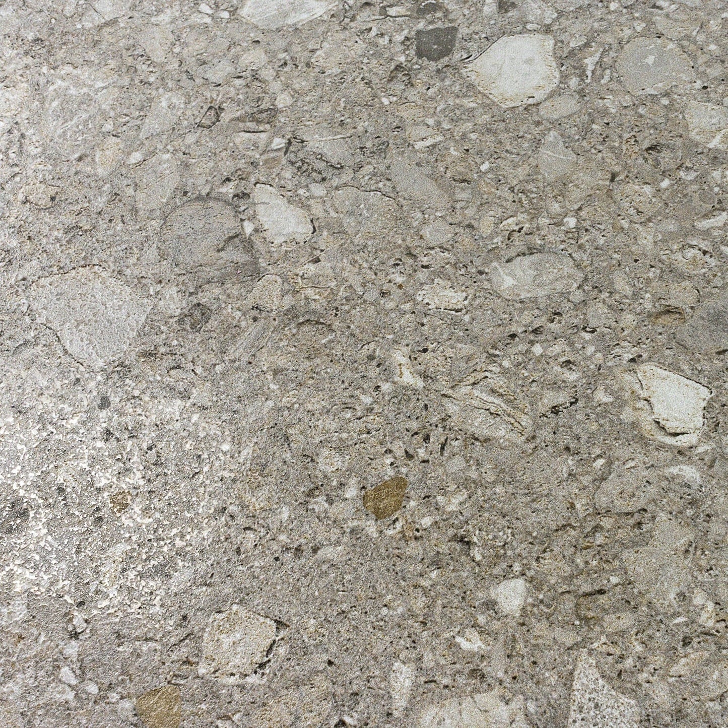 Rizo Tortora Gray 24x24 Terrazzo Look Semi-Polished Porcelain Tile
