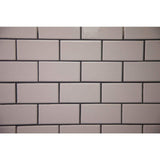 Custom Building Products Polyblend #641 8 oz. Cool White Grout Renew Colorant