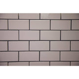 Custom Building Products Polyblend #643 8 oz. Warm Gray Grout Renew Colorant