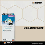 Custom Building Products Polyblend Plus #10 Antique White 10 lb. Unsanded Grout