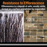 Custom Building Products Polyblend Plus #186 Khaki 25 lb. Sanded Grout