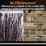 Custom Building Products Prism SCG #382 Bone 1 gal. Ultimate Performance Pre-Mixed Single Component Grout