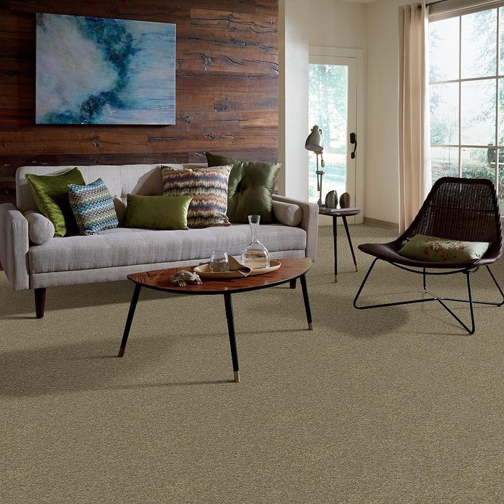 STAINMASTER PetProtect Baxter IV Dachshund Textured Carpet (Indoor)