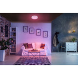 16 in. Voice Controlled Colors Brushed Nickel Smart LED Flush Mount - Super Arbor