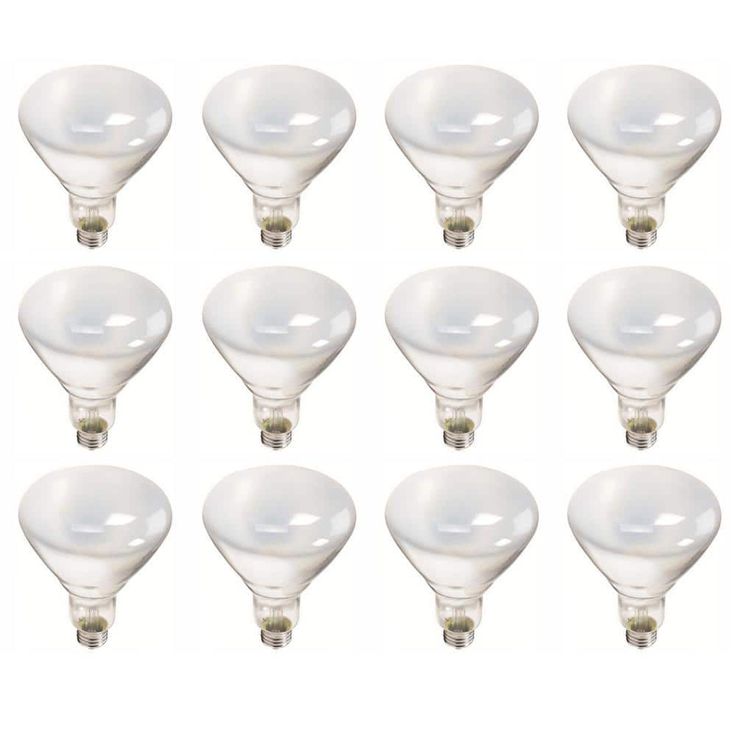 Philips 65-Watt BR40 Incandescent Flood Light Bulb Soft White (2700K) (12-Pack)