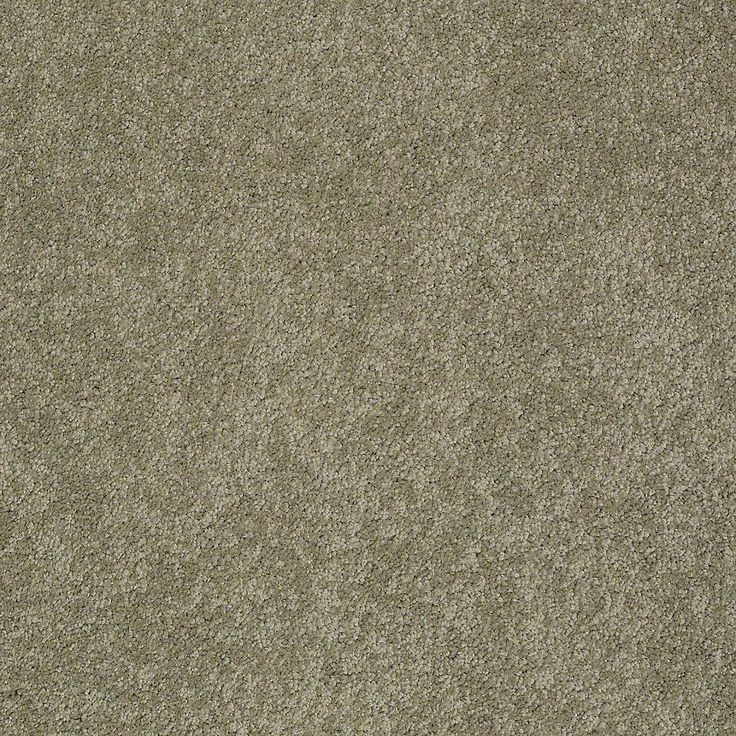 STAINMASTER PetProtect Baxter I Buddy Textured Carpet (Indoor)
