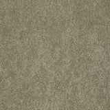 STAINMASTER PetProtect Baxter I Buddy Textured Carpet (Indoor)