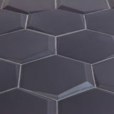 Magen Leveled-Hex Dark Gray Matte Ceramic Hexagon Tile