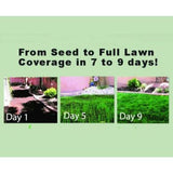 WONDER SOIL 3 Gal. Premium Expanding Coco Coir Living Soil with Added Nutrients for Indoor and Outdoor Use - Super Arbor