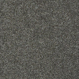STAINMASTER PetProtect Baxter II Roll Over Textured Carpet (Indoor)