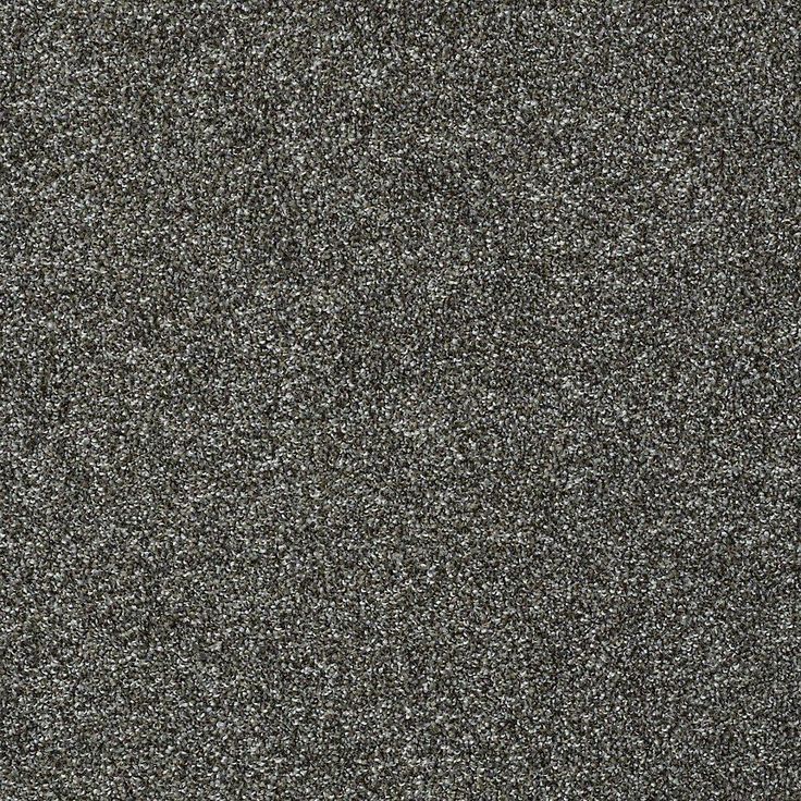 STAINMASTER PetProtect Baxter I Charlie Textured Carpet (Indoor)