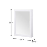 Home Decorators Collection Sturgess 24 in. W x 32 in. H Rectangular Medicine Cabinet with Mirror