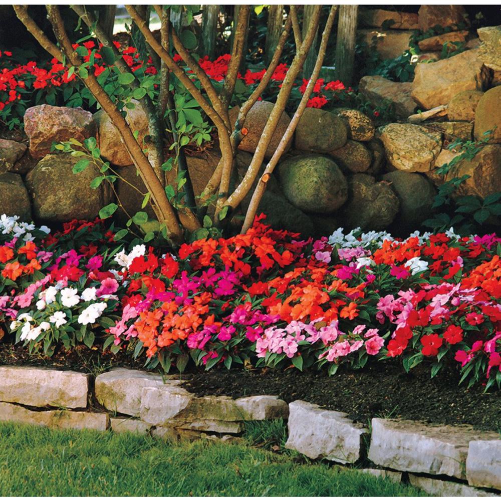 Pure Beauty Farms Grower's Choice Garden Potting Soil Sunpatien New Guinea Impatien 1.25 cu. ft. Flowering Mix - Super Arbor
