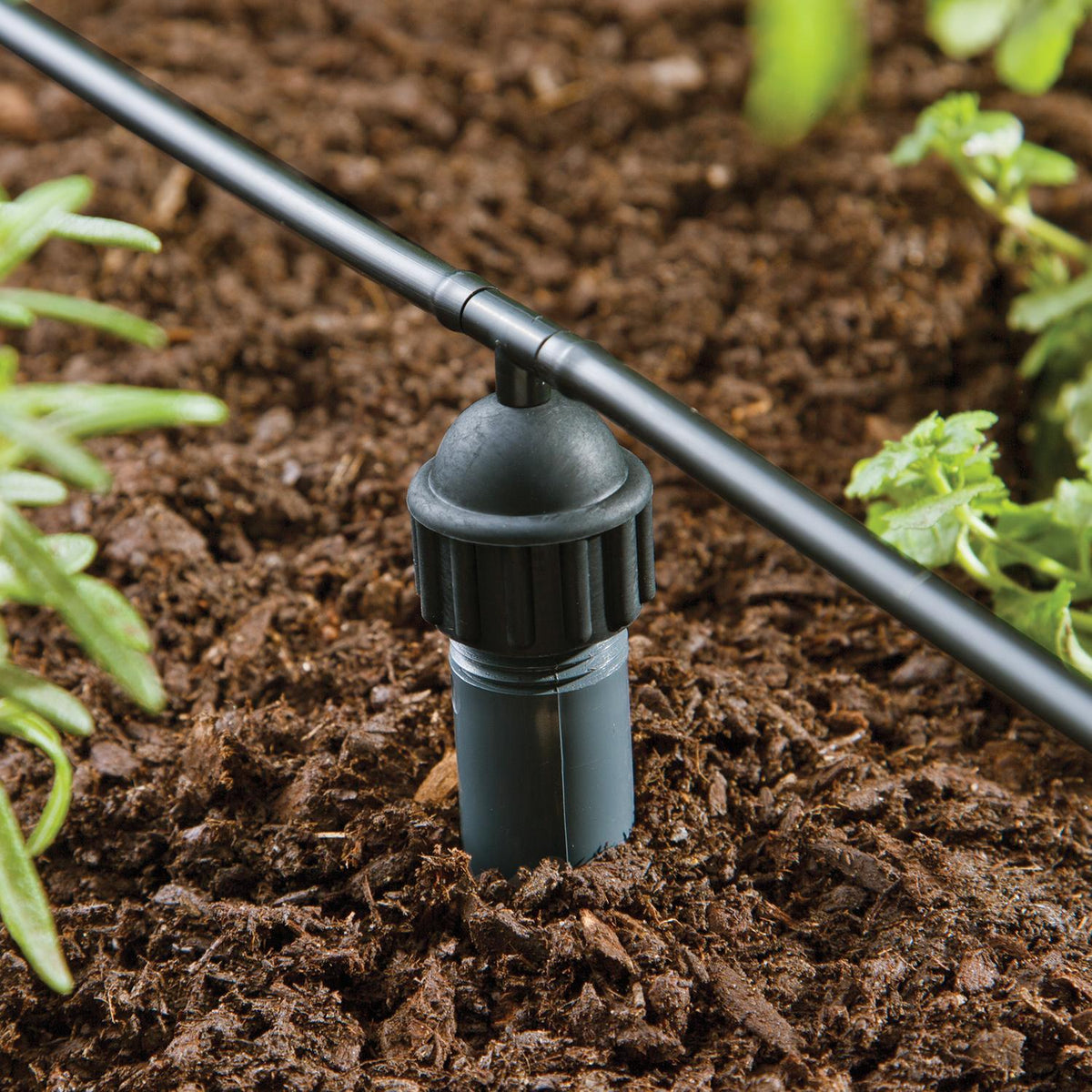 Raindrip 1/2 in. FPT to 1/4 in. Barbed Tee Drip Irrigation Adapter, 1-Pack