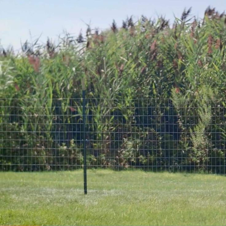 Everbilt 1-3/4 in. x 3-1/2 in. x 8 ft. Green Steel Fence T-Post with Anchor Plate