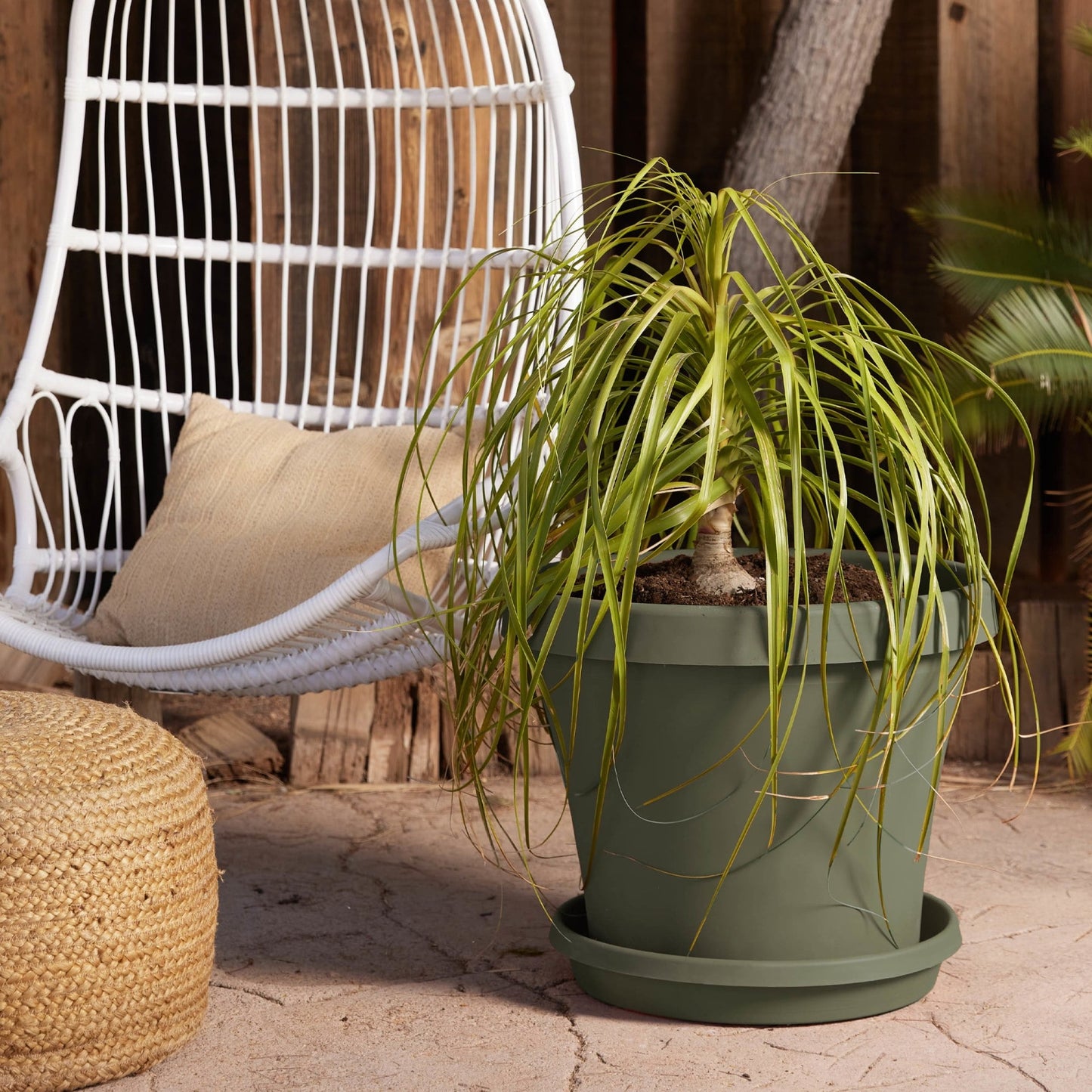 Bloem Terra Pot Planter 20" Living Green