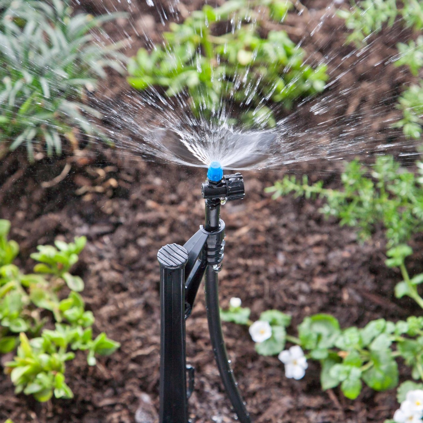 Raindrip Adjustable Flow Micro Sprinkler on 13 in. Stake for 1/4 in. Tubing, 1-Pack