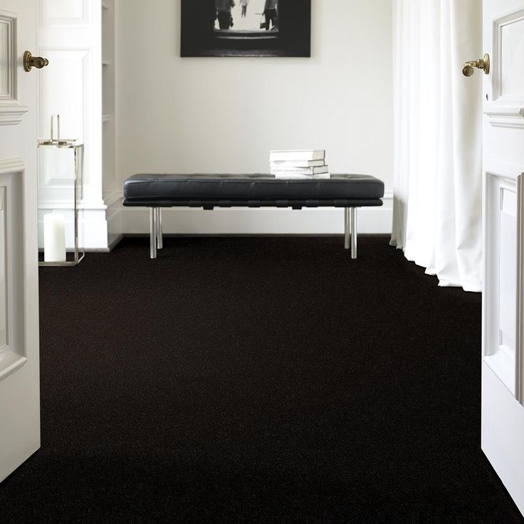 STAINMASTER PetProtect Baxter II Bear Textured Carpet (Indoor)