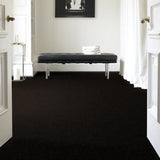 STAINMASTER PetProtect Baxter II Bear Textured Carpet (Indoor)