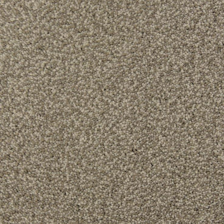 STAINMASTER PetProtect Magnetic Limestone Textured Carpet Sample (Interior)