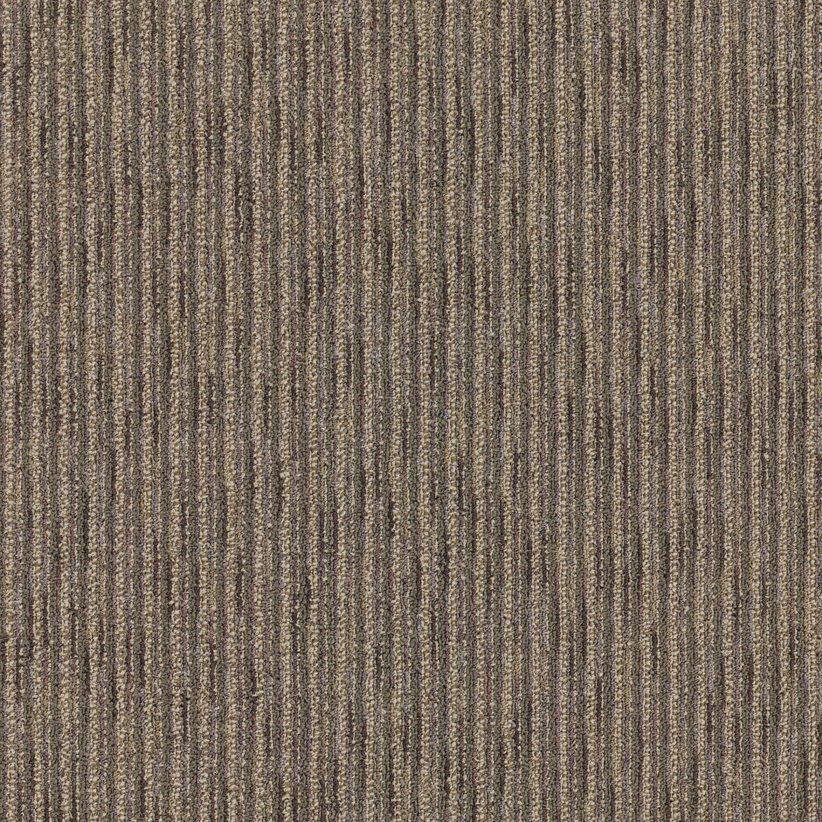 Goodwick 24" x 24" (72SF/carton) carpet tile in SCIENTIST - Super Arbor