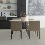 STAINMASTER PetProtect Baxter I Trixie Textured Carpet (Indoor)