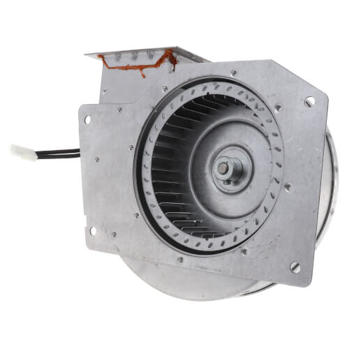 Fasco D959 inducer motor - detail view (Type: Shaded Pole; Voltage: 115V)