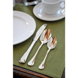 Puccini 18/10 Stainless Steel Teaspoons, European Size (Set of 12)