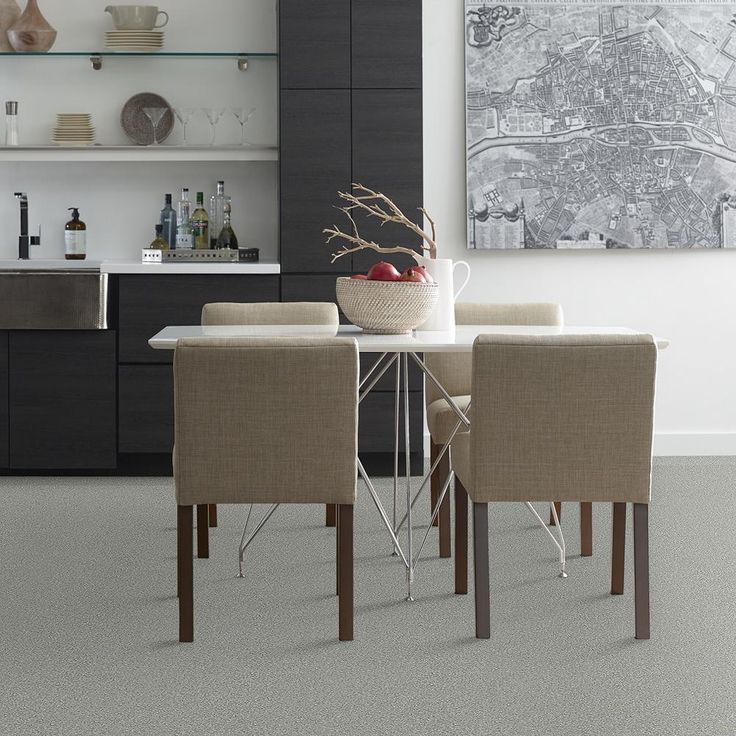 STAINMASTER PetProtect Baxter II Roscoe Textured Carpet (Indoor)