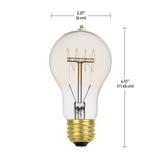Globe Electric 60-Watt Incandescent A19 Vintage Quad Loop Medium Base Light Bulb