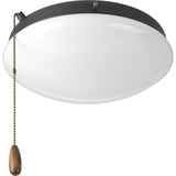 Fan Light Kits Collection 2-Light White Ceiling Fan Light Kit