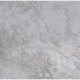 TrafficMASTER Ash Blended Slate 12 in. x 12 in. Peel and Stick Vinyl Tile (30 sq. ft. / case)