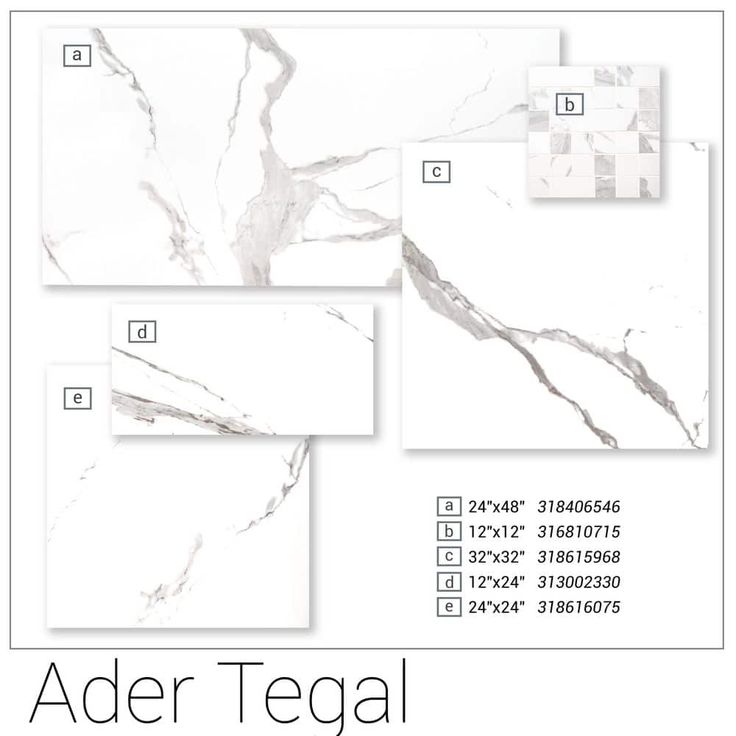 Ader Tegal 24 in. x 48 in. Polished Porcelain Floor and Wall Tile (16 sq. ft./Case)