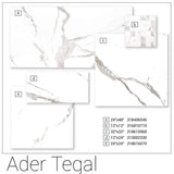Ader Tegal 24 in. x 48 in. Polished Porcelain Floor and Wall Tile (16 sq. ft./Case)