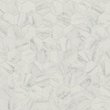 Lifeproof Carrara 10 in. x 12 in. x 6.35mm Ceramic Hexagon Mosaic Floor and Wall Tile (0.81 sq. ft. / piece)