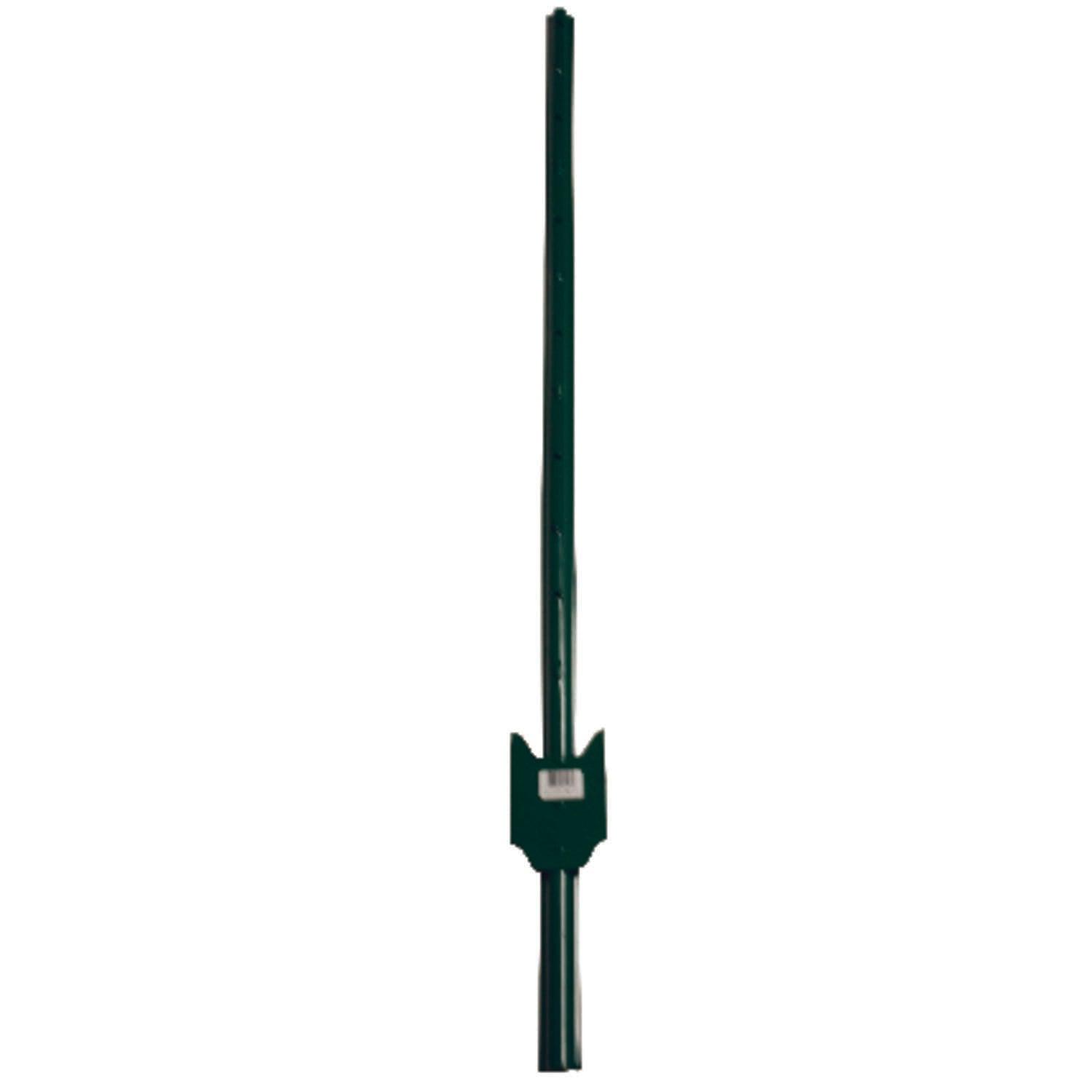 dc26075f-0bbe-4803-b217-bdb9bed59fda_quality=60&_mzcb=_1649148331752_-1505024650