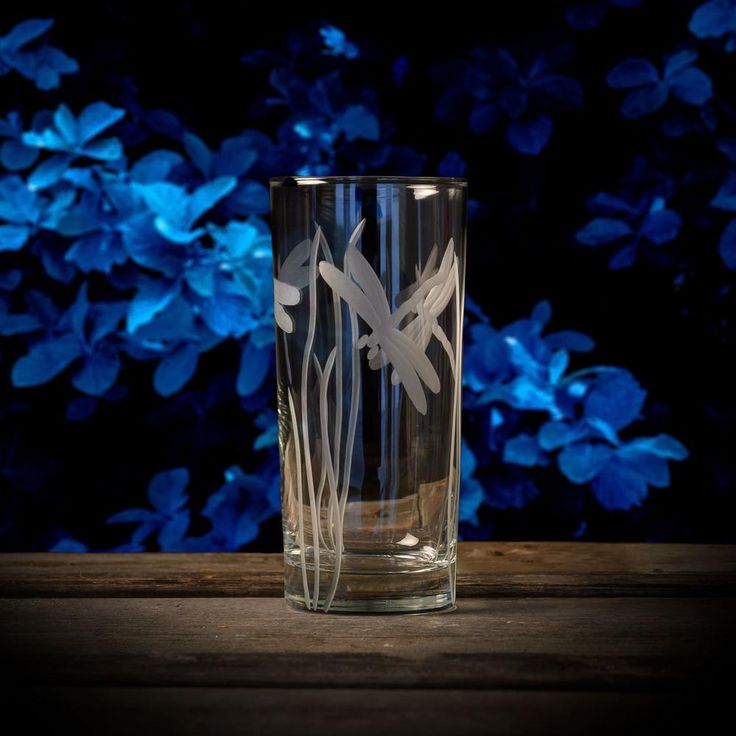 Dragonfly 15 oz. Clear Highball Glass (Set of 4)