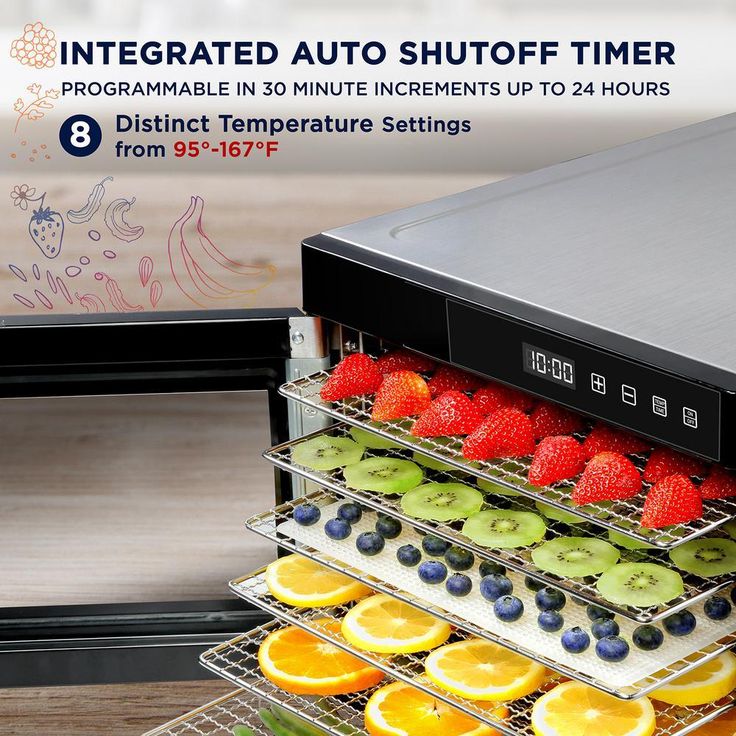 6 Tray Premium Stainless Steel Electric Food Dehydrator Machine 600W for Drying Beef Jerky, Fruits, Vegetables and Nuts