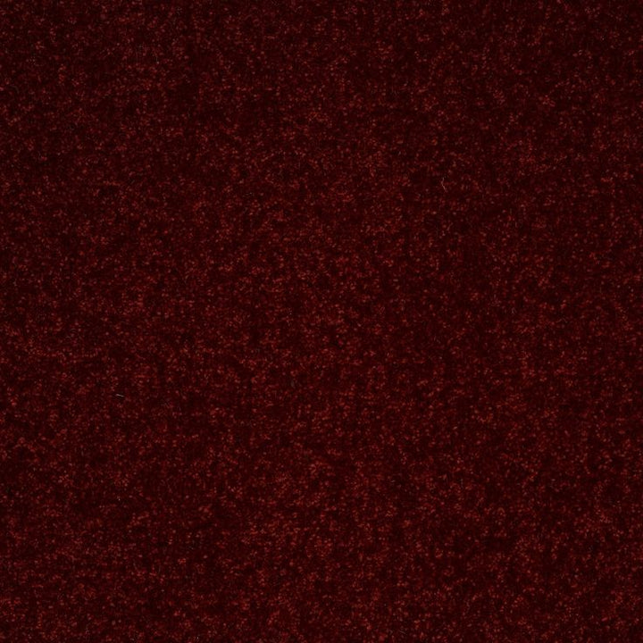 STAINMASTER Essentials Intuition III 12-ft Apache Red Textured Carpet Sample (Interior)